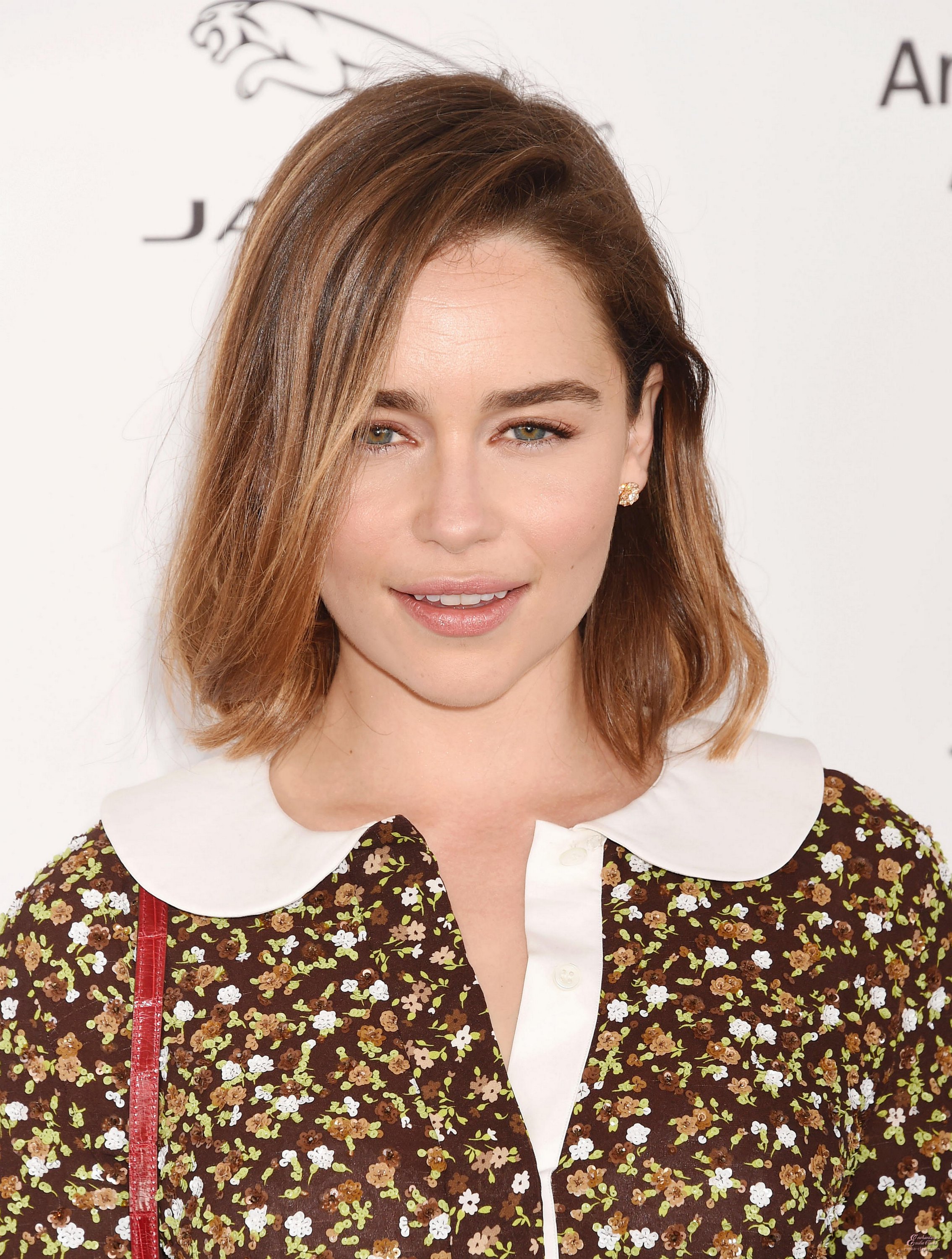 EEC-285.jpg EEC-285.jpg