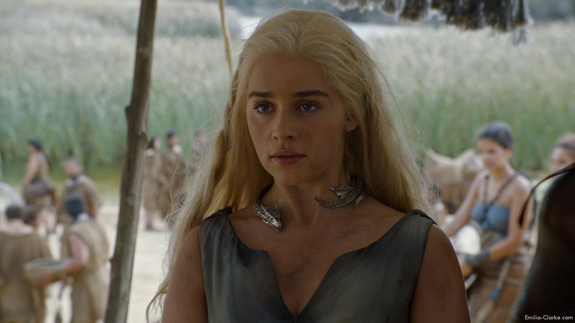 EEC-113.jpg EEC-113.jpg