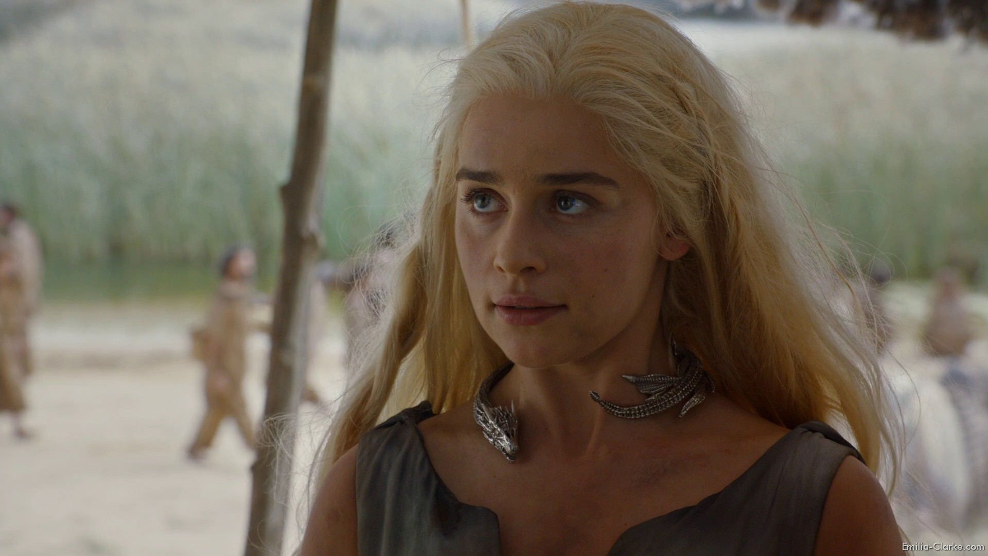 EEC-146.jpg EEC-146.jpg