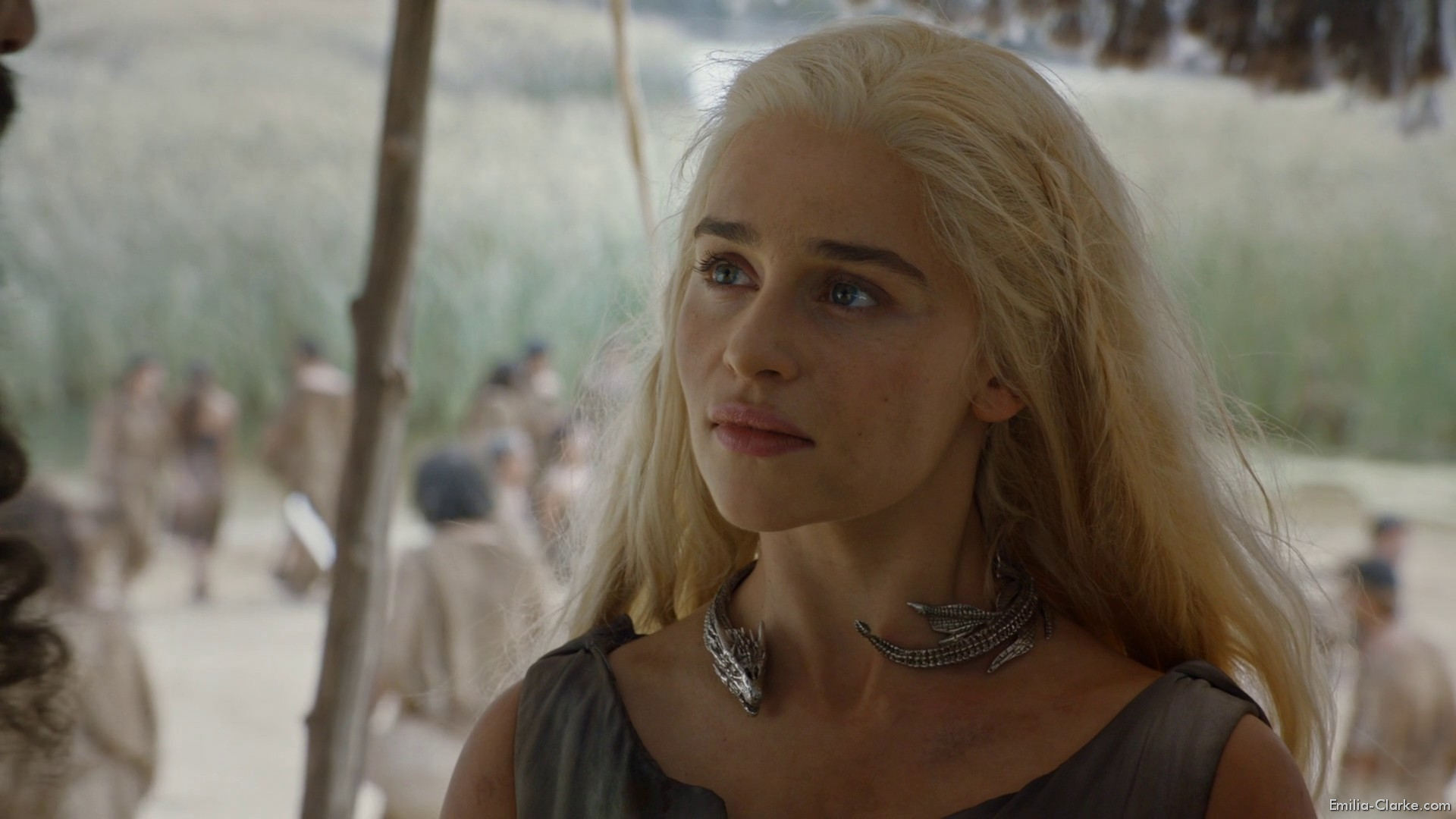 EEC-195.jpg EEC-195.jpg