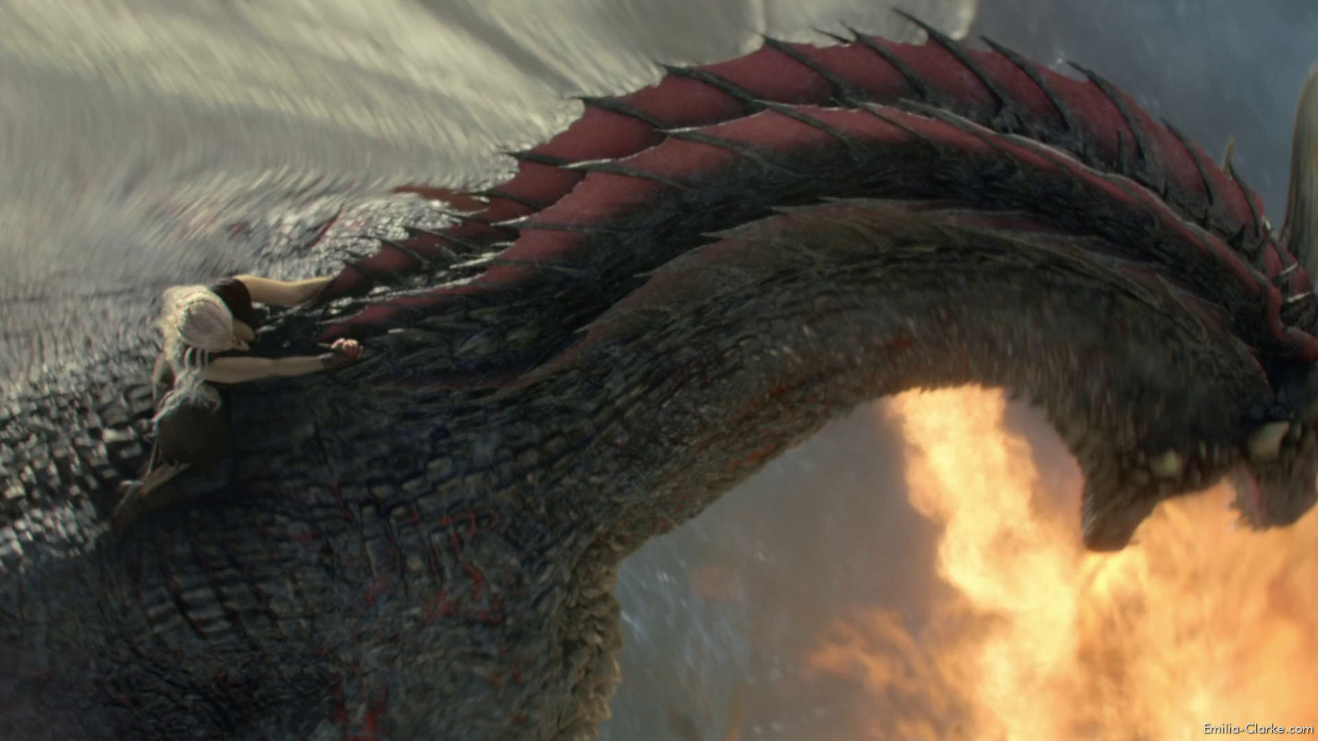 EEC-210.jpg EEC-210.jpg