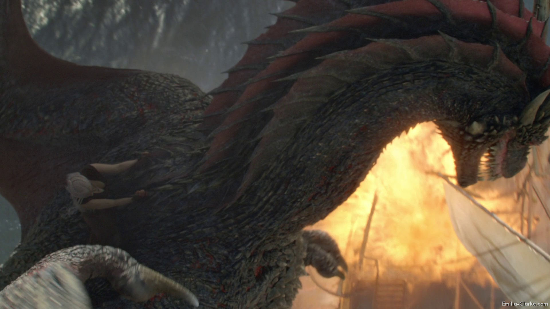 EEC-211.jpg EEC-211.jpg