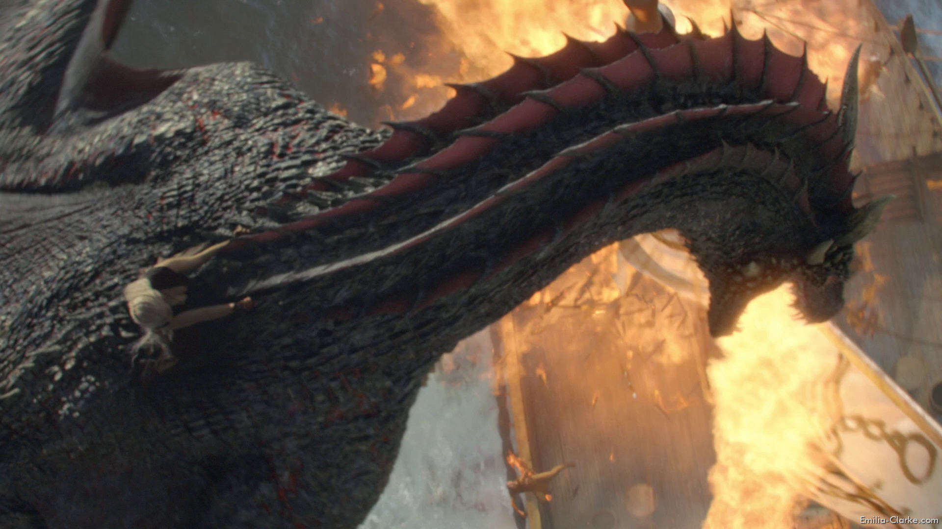 EEC-213.jpg EEC-213.jpg