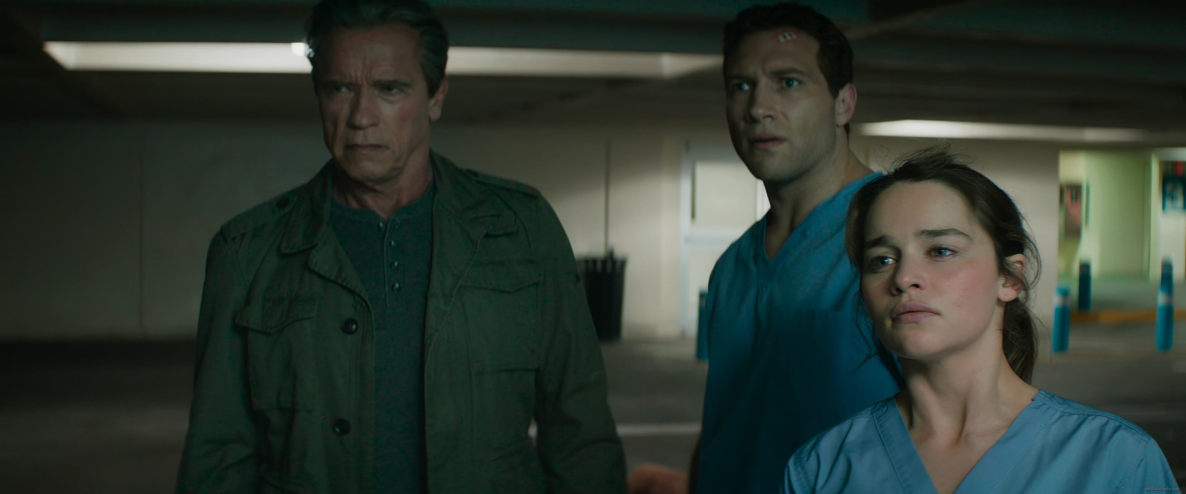 EEC-009.jpg EEC-009.jpg