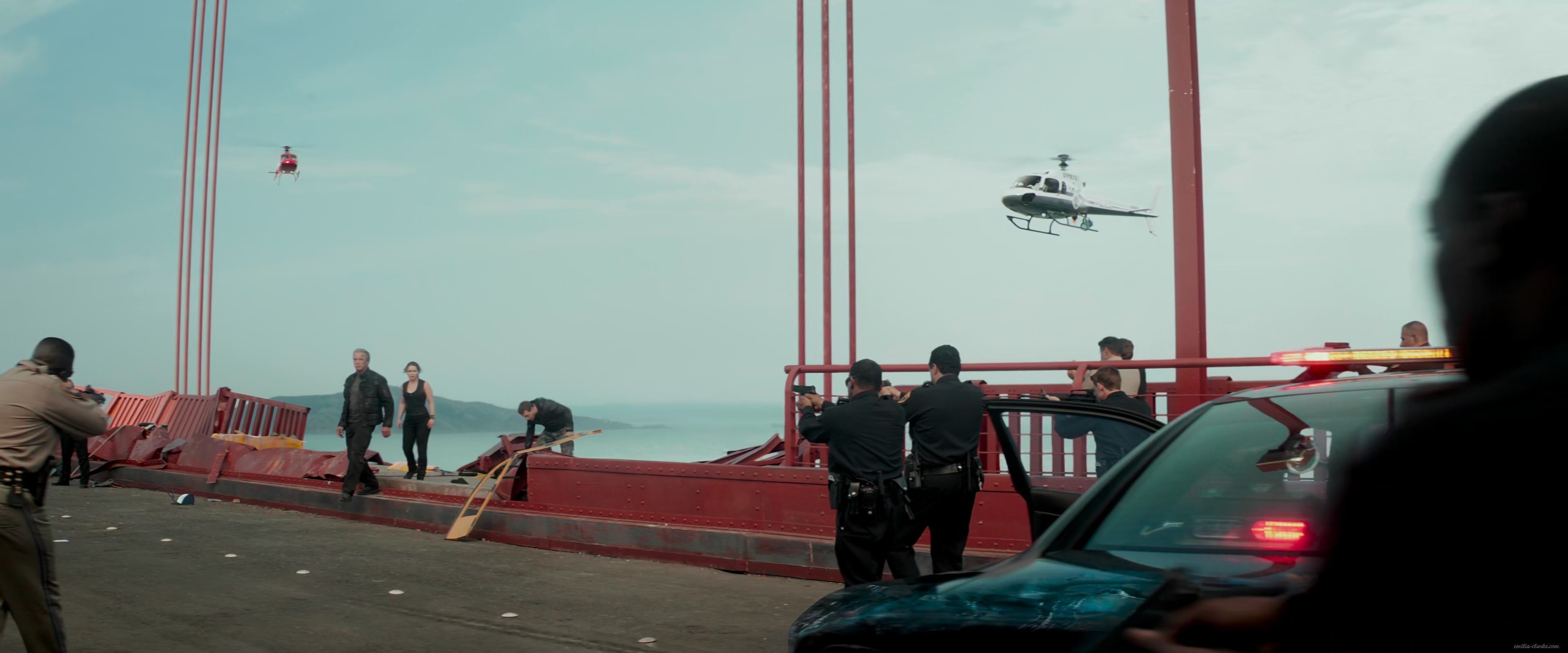 EEC-240.jpg EEC-240.jpg