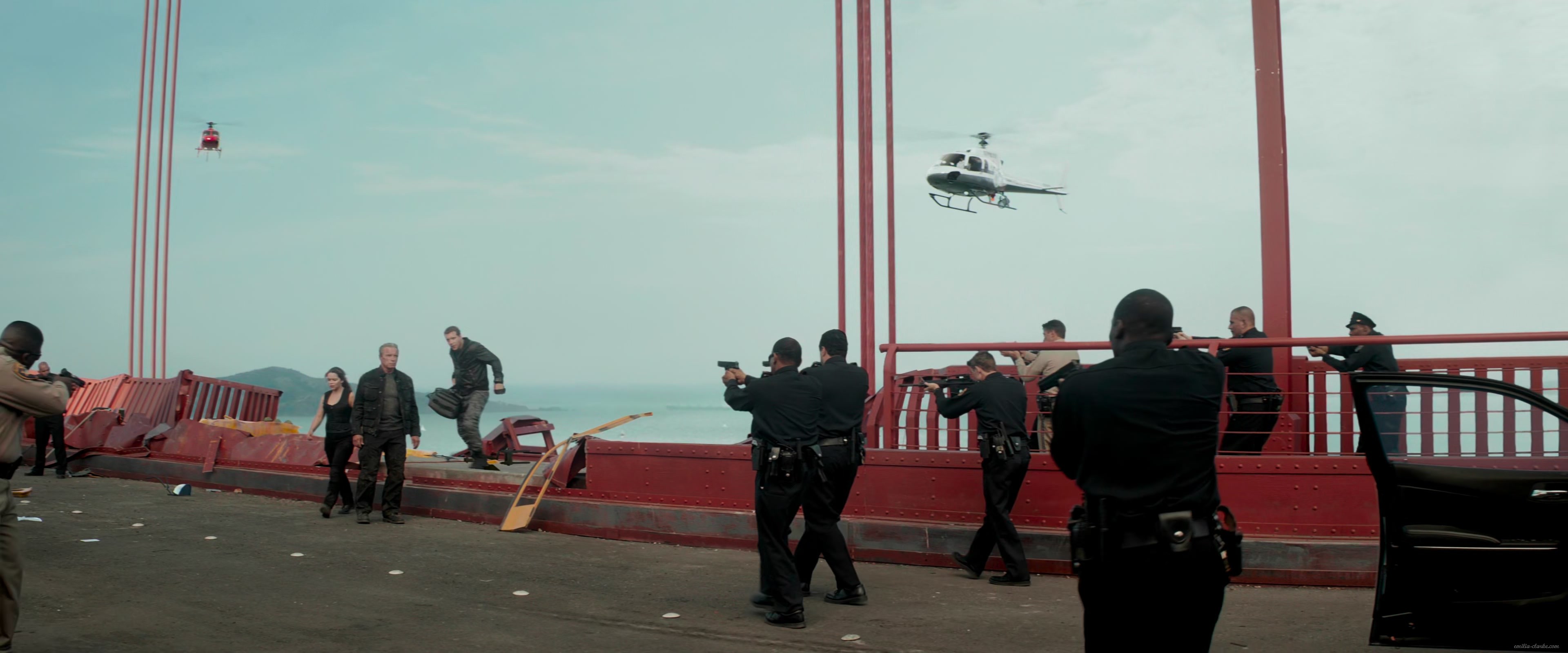 EEC-242.jpg EEC-242.jpg