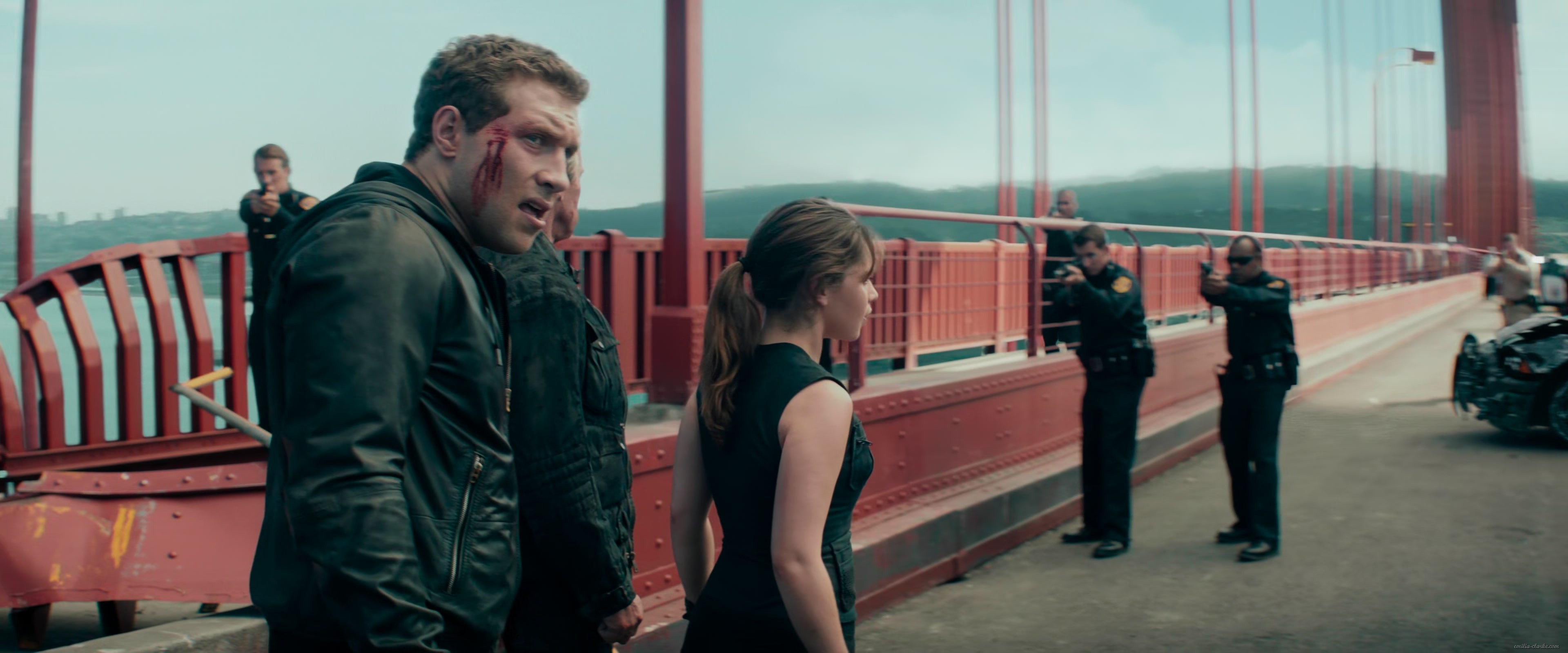 EEC-245.jpg EEC-245.jpg