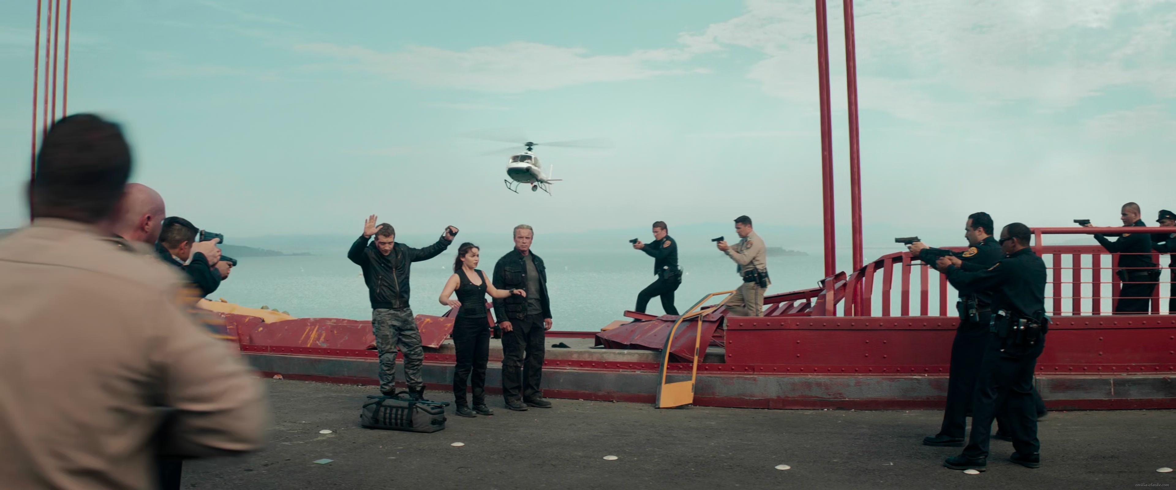 EEC-253.jpg EEC-253.jpg