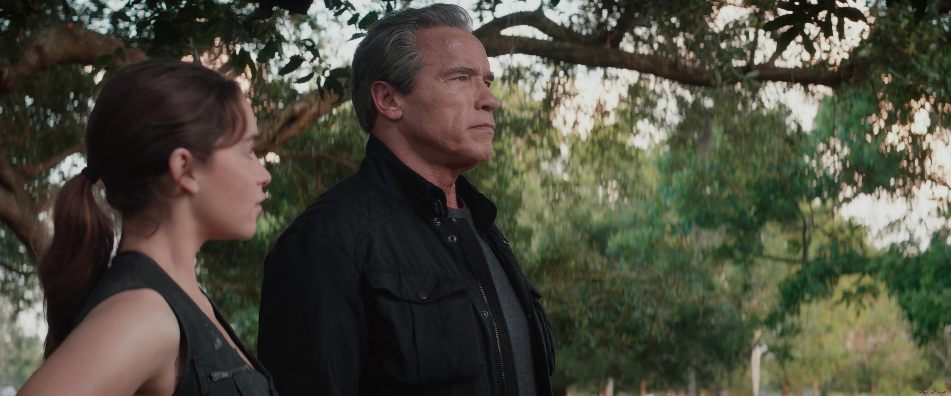 EEC-615.jpg EEC-615.jpg